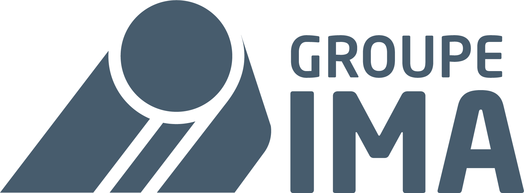 Logo_IMAGroupe_gris